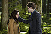 Review of Robert Pattinson and Kristen Stewart in New Moon