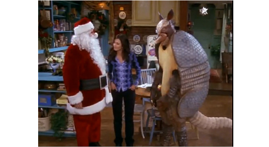 Holiday Armadillo