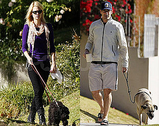 Photos of January Jones and Jon Hamm Walking Their Dogs in LA