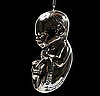 Silver Fetus Ornament from The Flaming Lips