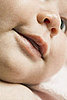 Did You Brush Your Baby's Gums? 