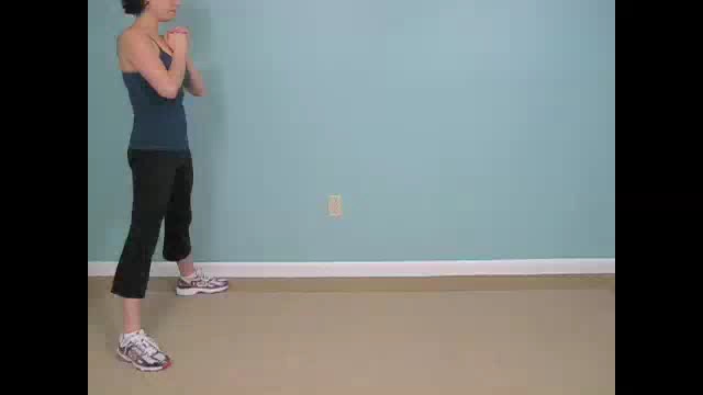 Video of Wide Squat Steppers