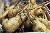 Cooking and Eating Parsnips