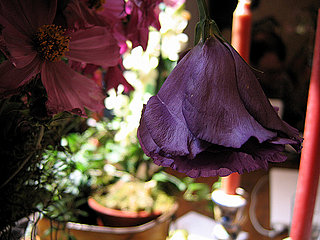 Casa Quickie: Move Flowers Off the Table