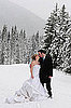 Are You Attending Any Winter Weddings This Season?