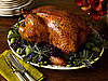 Happy Thanksgiving!