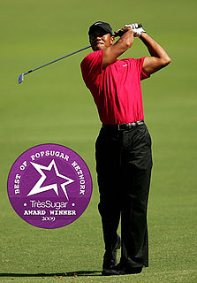 Best Sex Scandal of 2009: Tiger Woods