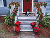 It's Almost Christmas, Where Are Your Pets?