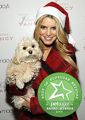 The Results Are in: Most Missed Celebrity Pet The Results Are in: Most Missed Celebrity Pet