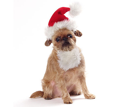 Santa Hat, Beard Included Santa Hat, Beard Included