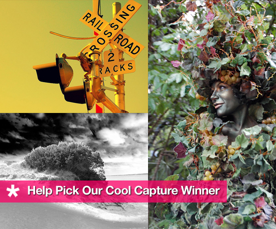 Help Pick Our Cool Capture Winner! Help Pick Our Cool Capture Winner!
