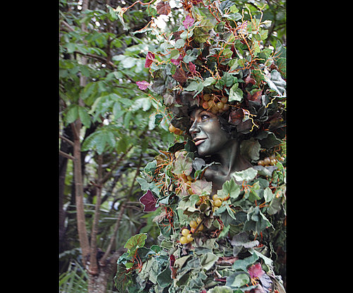 9. Tree Lady 9. Tree Lady