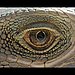 2. Look Into the Eye