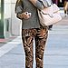 Whitney Port