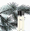 What Fragrances Remind You of the Holidays? 