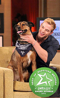 The Results Are In: Pet of the Year 