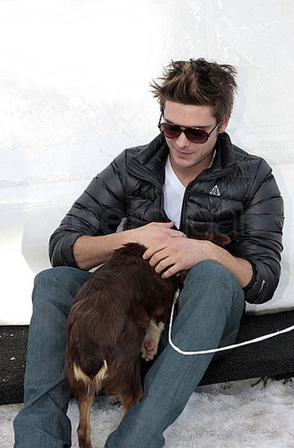 Photos of Zac Efron Playing With Dogs in Aspen Photos of Zac Efron Playing With Dogs in Aspen