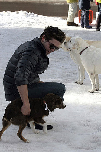 Photos of Zac Efron Playing With Dogs in Aspen Photos of Zac Efron Playing With Dogs in Aspen