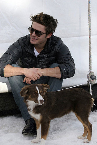 Photos of Zac Efron Playing With Dogs in Aspen Photos of Zac Efron Playing With Dogs in Aspen