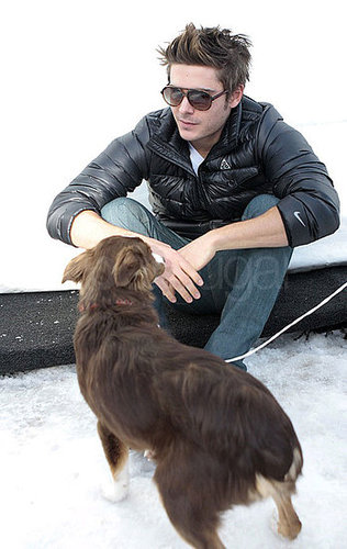 Photos of Zac Efron Playing With Dogs in Aspen Photos of Zac Efron Playing With Dogs in Aspen