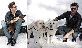 Photos of Zac Efron Playing With Puppies in the Snow
