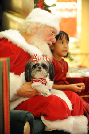 Did Santa Meet, Surpass or Fall Short of Expectations?