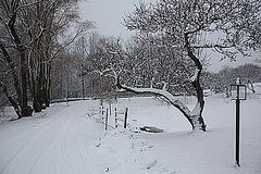 Do You Hire a Snow Plow Service?