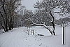 Do You Hire a Snow Plow Service?