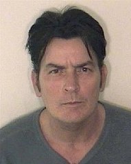 Brooke Mueller Sheen and Charlie Sheen's Statements About Charlie's Christmas Day Arrest are Released Plus the 911 Call