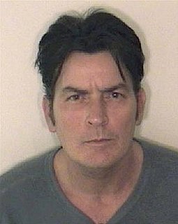 Brooke Mueller Sheen and Charlie Sheen's Statements About Charlie's Christmas Day Arrest are Released Plus the 911 Call