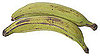 What Are Plantains?