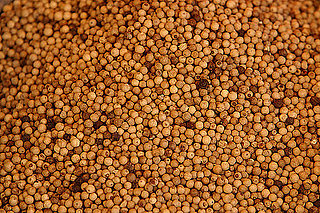 Burning Question: Why Does White Pepper Smell Unpleasant?