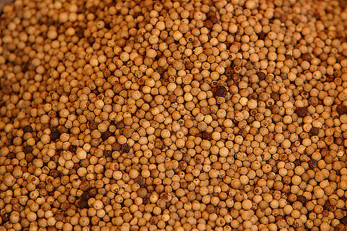 Burning Question: Why Does White Pepper Smell Unpleasant?