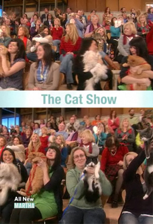 Could Your Cats Attend a TV Show Taping?
