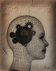 Epilepsy Myth
