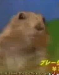 Remembering "The Dramatic Chipmunk"