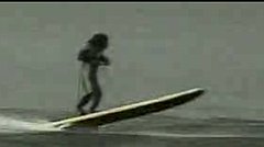 Water-Skiing Monkeys