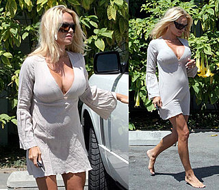 Pam Anderson Will Try Again
