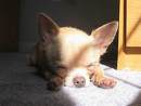 Nap time...