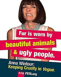 A Dead Raccoon Won't Get Anna Wintour Talking