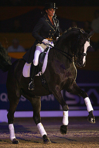 Sportmanship and Gentility at The Horse of The Year Show