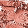 Raging Rouge For Coutorture: Coral Makeup For Summer 