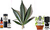 Cannabis Fragrances