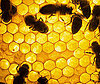 Four Beauty Uses For Honey