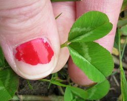 Keep Your Manicure Chip-Free With This Easy Step