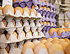 Federal Government Outlines Tighter Food Safety Guidelines