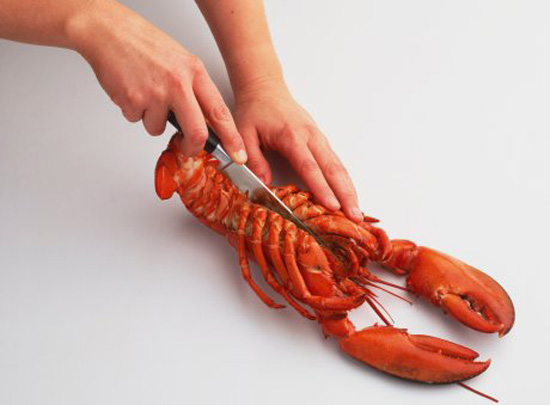 Poll: Do You Buy Live Seafood to Cook at Home? Poll: Do You Buy Live Seafood to Cook at Home?
