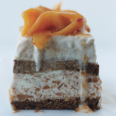 Plum-Good Ice Cream Cake Plum-Good Ice Cream Cake