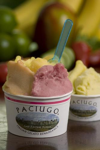 Would You Rather Eat Gelato or Ice Cream?