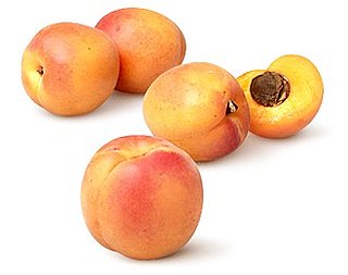Apricot Tart Recipe 2009-07-21 14:37:00